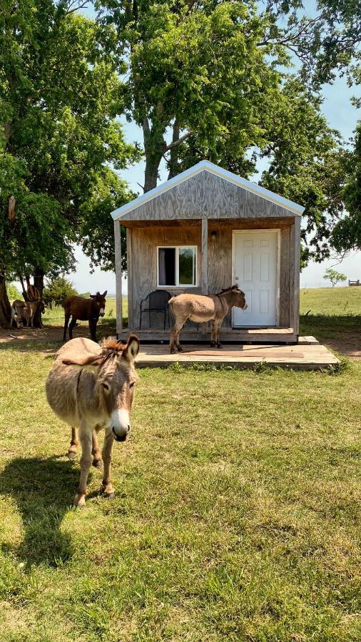 Tiny Cabin At The Donkeyranch Medicine Park Exterior photo